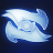 TheShark97